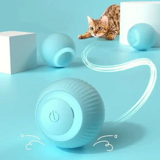 Jouet balle interactive auto-roulante à LED chats et chatons